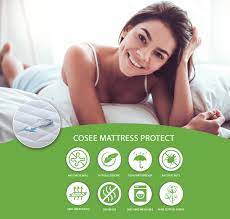 Cosee pillow